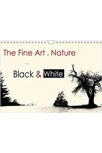 The Fine Art of Nature in Black & White / UK-Version 2017