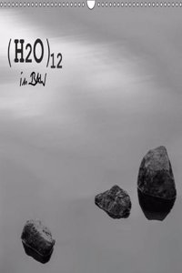 (H2O)12 in B&W 2017