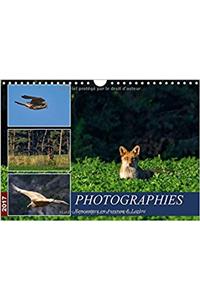 Photographies Rencontres En Aveyron & Lozere 2017