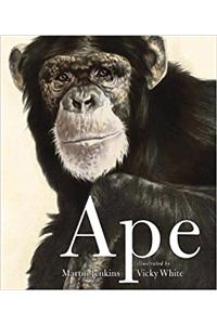 Ape