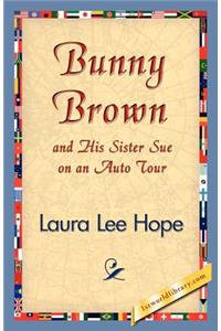 Bunny Brown and His Sister Sue on an Auto Tour