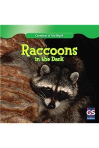 Raccoons in the Dark
