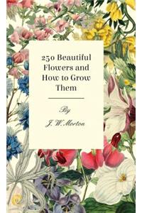 250 Beautiful Flowers and How to Grow Them