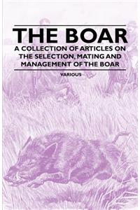 The Boar - A Collection of Articles on the Selection, Mating and Management of the Boar