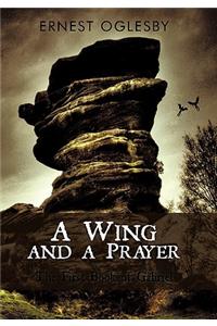 Wing and a Prayer