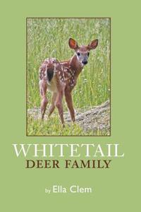 Whitetail Deer Family