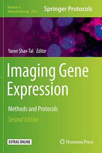 Imaging Gene Expression