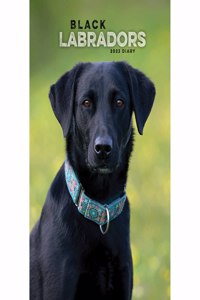 Labrador Retrievers Black A5 Diary 2023