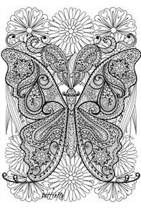 Butterfly - A Color Your Cover Journal