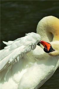 Swan and her Plumage Journal