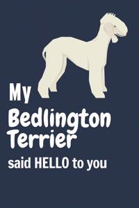 My Bedlington Terrier said HELLO to you