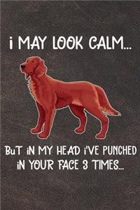 I May Look Calm But In My Head I've Punched In Your Face 3 Times