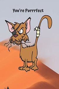 Steve & Jim, lost in the desert meet the Purrrfect Cat