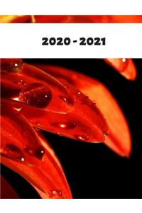 2020-2021