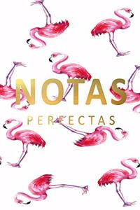 notas perfectas