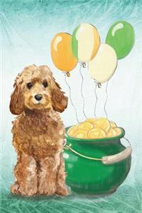 Cockapoo