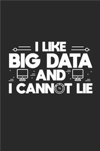 I Like Big Data and I Cannot Lie
