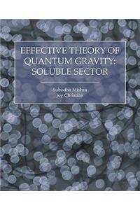 Effective Theory of Quantum Gravity