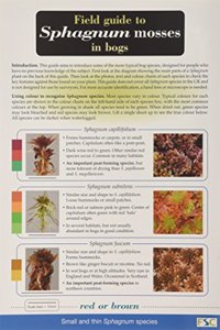 Field Guide to Sphagnum Mosses in Bogs