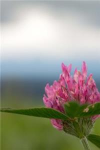 Red Clover Flower Journal