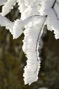 Branches of a Tree Covered in the Frost of Winter Journal