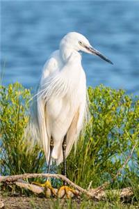 White Egret Bird Journal