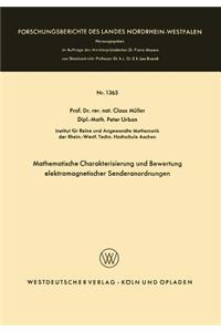 Mathematische Charakterisierung Und Bewertung Elektromagnetischer Senderanordnungen
