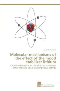 Molecular mechanisms of the effect of the mood stabilizer lithium
