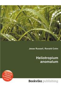 Heliotropium Anomalum