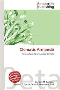 Clematis Armandii
