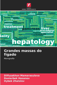 Grandes massas do fígado