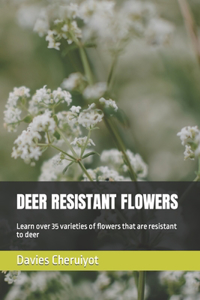 Deer Resistant Flowers