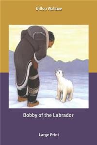 Bobby of the Labrador