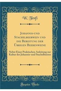 Johannis-Und Stachelbeerwein Und Die Bereitung Der Übrigen Beerenweine