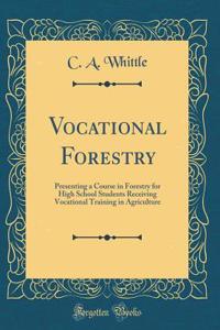 Vocational Forestry: Presenting a Course in Forestry for High School Students Receiving Vocational Training in Agriculture (Classic Reprint)