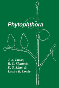 Phytophthora