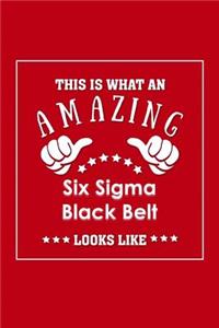 This is What an Amazing Six Sigma Black Belt Look Like