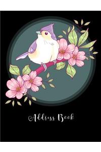 Address Book