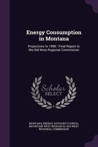Energy Consumption in Montana