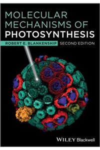 Molecular Mechanisms of Photosynthesis