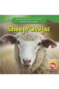 Sheep / Las Ovejas