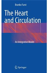 The Heart and Circulation