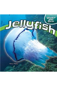 Jellyfish