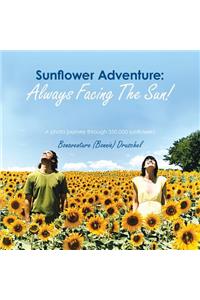 Sunflower Adventure