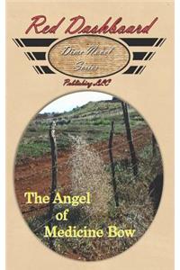 The Angel of Medicine Bow