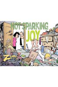 Not Sparking Joy