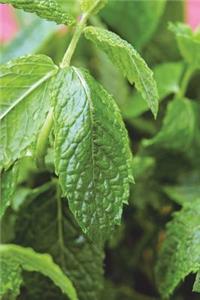 Mint Journal - So Fresh You Can Almost Smell It: 150 Page Lined Notebook/Diary