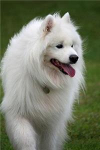 Gorgeous Fluffy White Samoyed Dog Pet Journal