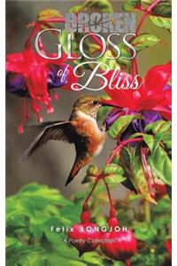 Broken Gloss of Bliss
