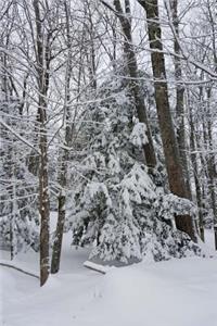 Winter Weather Journal Snowstorm Effect
